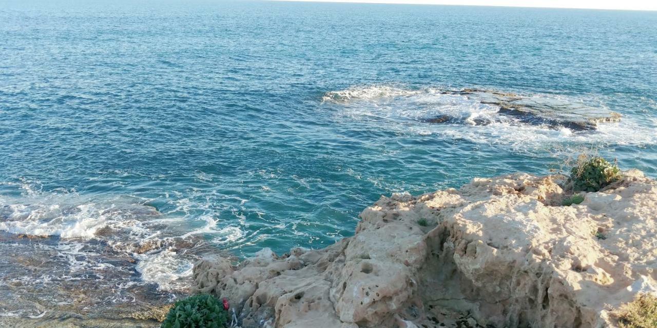 Estudio Jardin Del Mar