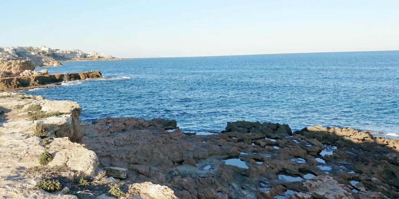 Estudio Jardin Del Mar Appartement